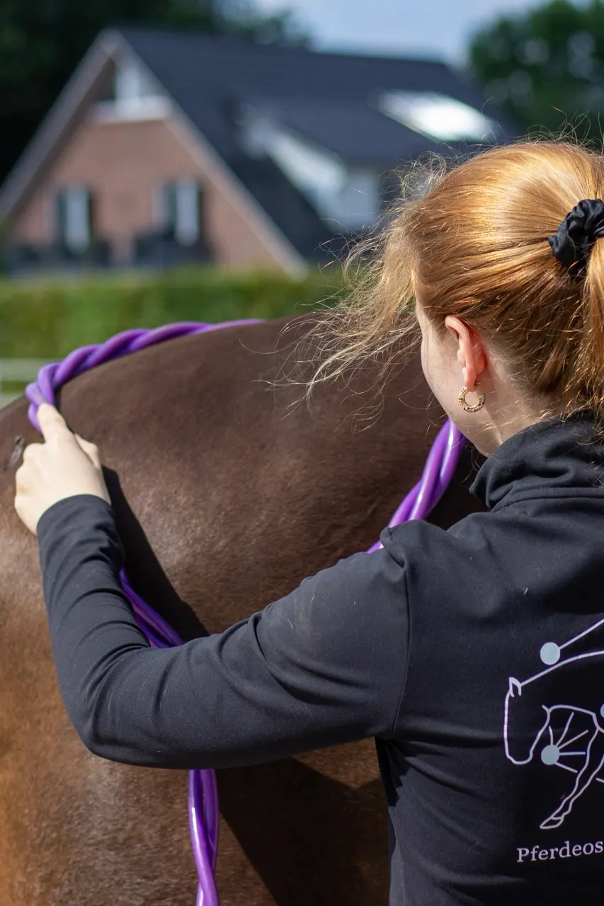 Hofmag Behandlungssitzung an einem Pferd